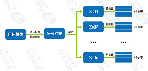 隨機區組設計