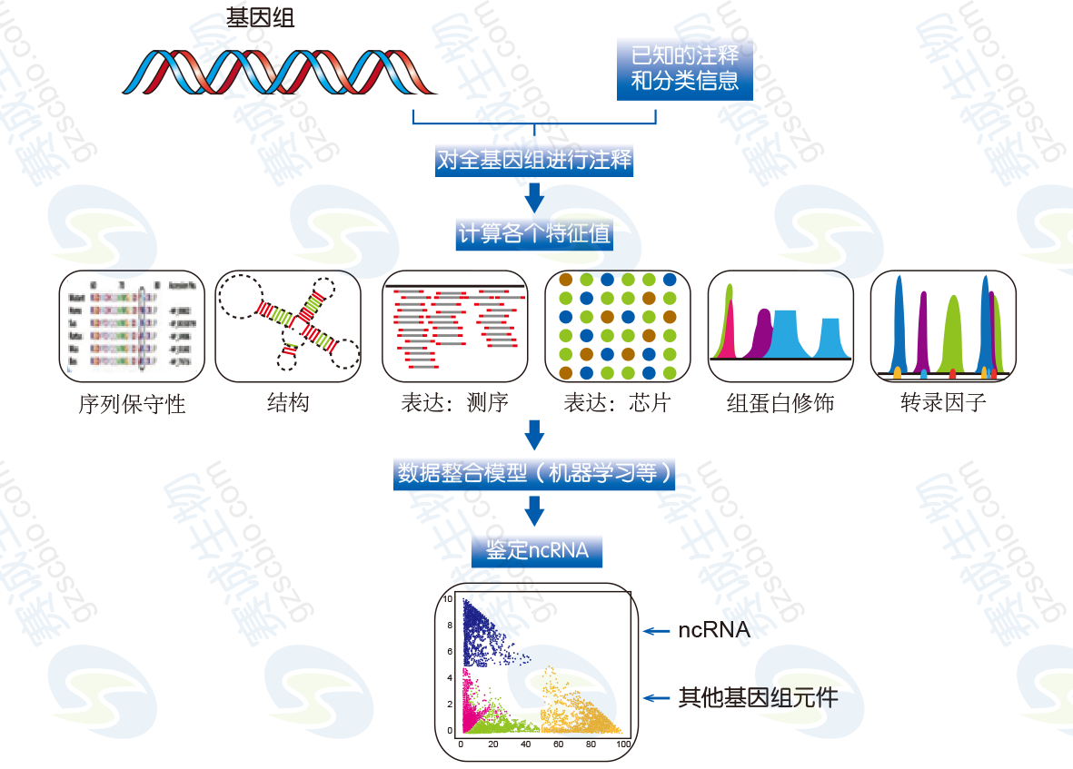 lncRNA綜合分析方法流程示例.png